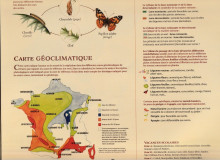 Carte Géoclimatique