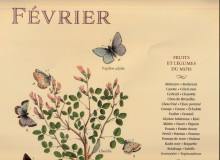 Février-1