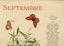 Septembre-1