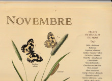 Novembre-1